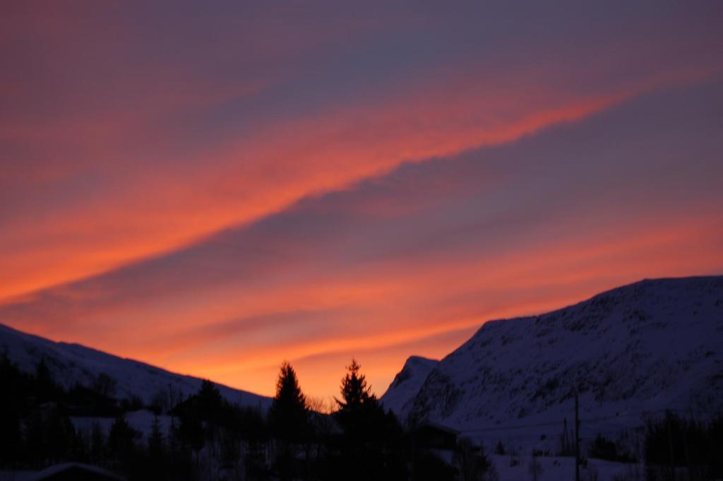 Fjellstova Orskogfjellet Cottages Sjøholt Oda fotoğraf